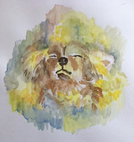 Heeft de hond de Boeddha-natuur?